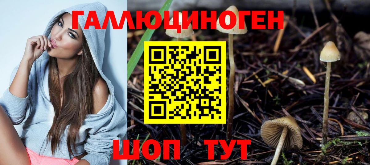 Галлюциногенные грибы мицелий Щёлково