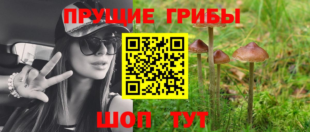 Псилоцибиновые грибы мицелий  Вход с VPN  Щёлково 